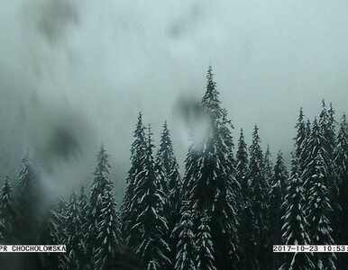 Miniatura: W Tatrach już śnieg. Morskie Oko i Dolina...