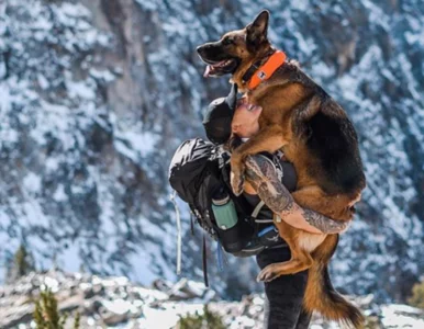 Miniatura: Ta kobieta to prawdziwa siłaczka. Nosi...