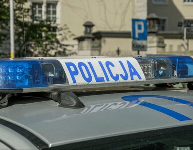 Miniatura: Kierowcy muszą się pilnować. Mandaty...