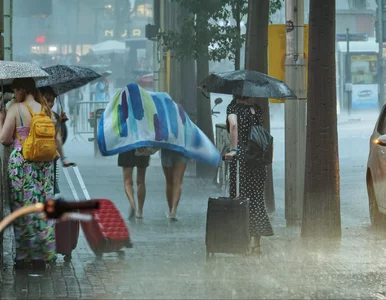 Miniatura: Odwołano loty i pociągi. Turyści w...