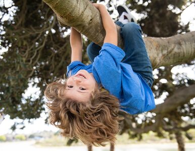 Miniatura: Dzieci, które chodzą po drzewach, są...