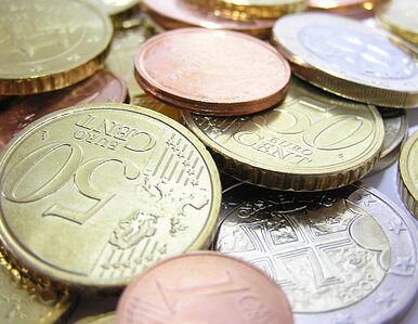 Miniatura: Ile kosztowało Słowację euro