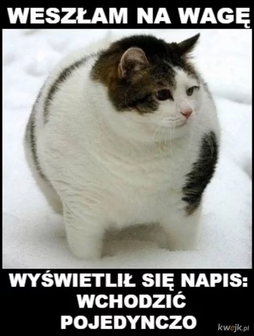 Mem na temat odchudzania 