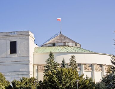 Miniatura: Sejm przyjął projekt nowelizacji ustawy o...