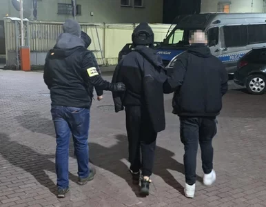 Miniatura: Zabójstwo 25-letniej Lizy z Białorusi....