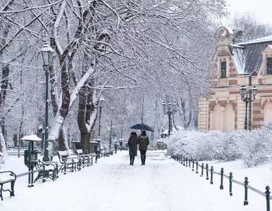 Miniatura: Wtedy w Polsce spadnie śnieg. Meteorolodzy...