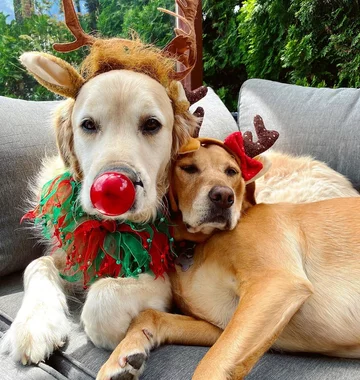 Cooper i jego przyjaciel 