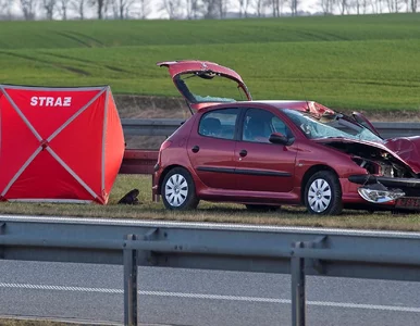 Miniatura: Będą wyższe kary dla kierowców? „Jeśli nie...