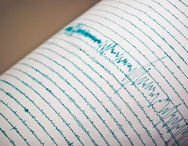 Miniatura: Silne trzęsienie ziemi w Japonii....