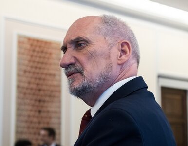 Miniatura: Macierewicz w niebezpieczeństwie? Jest...