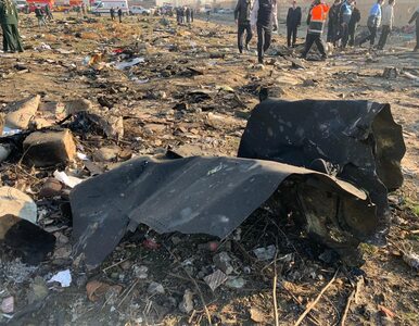Miniatura: Katastrofa samolotu w Teheranie. Na...