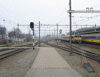 Miniatura: Niemcy nie chcą szybkiej kolei do Polski?
