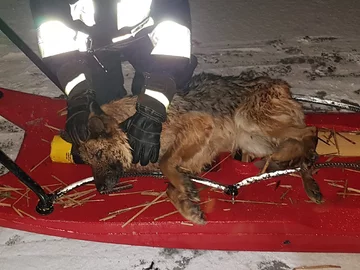 Do zdarzenia doszło w miejscowości Brwilno w gminie Nowy Duninów 