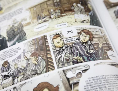 Miniatura: „Chleb wolnościowy”. Powstał komiks o...