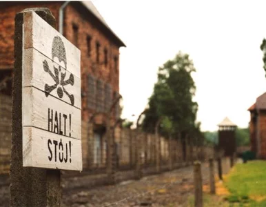 Miniatura: Izraelczycy uczą się w Auschwitz