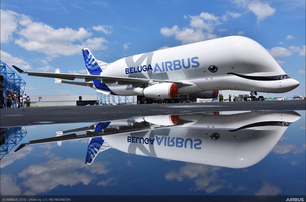 Miniatura: Nowy model Airbusa - Beluga XL