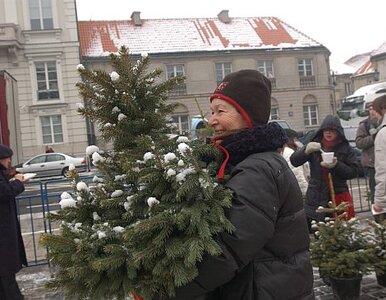 Miniatura: Warszawskie choinki ogrzały miasto