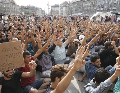 Miniatura: Ucieczka z europejskiego raju