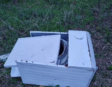 Miniatura: Sadysta porzucił psa w zamkniętej pralce....