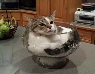 Miniatura: Odkryto czwarty stan skupienia – nazywa...