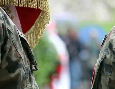 Miniatura: Quiz ze stopni wojskowych. Komplet tylko...