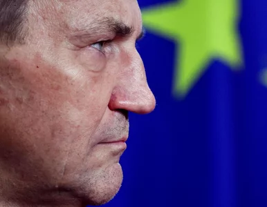 Miniatura: Sikorski rozmawiał z niemieckimi mediami....