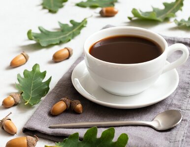 Kawa z żołędzi nie podrażnia żołądka. Jakie jeszcze ma właściwości?