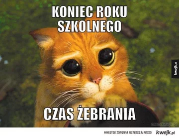 Zakończenie roku szkolnego - okolicznościowe memy 
