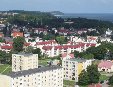 Miniatura: Zdjęcie plaży we Władysławowie wywołało...