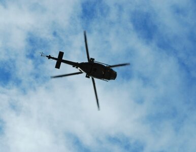 Miniatura: Helikoptery zderzyły się w powietrzu. 12...