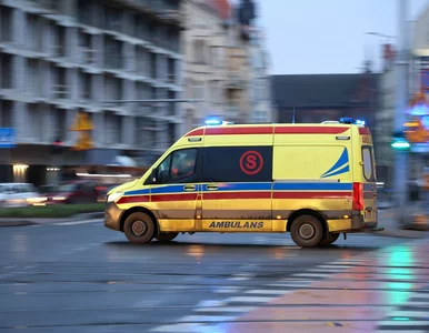 Miniatura: Kwiaciarka z Kozienic ciężko raniona...