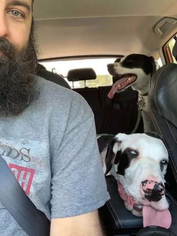 Ktoś tu nudzi się  w podróży 