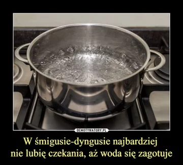 Świąteczne memy 