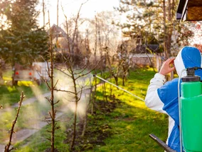 Miniatura: Ten produkt z&nbsp;apteki ratuje drzewa...