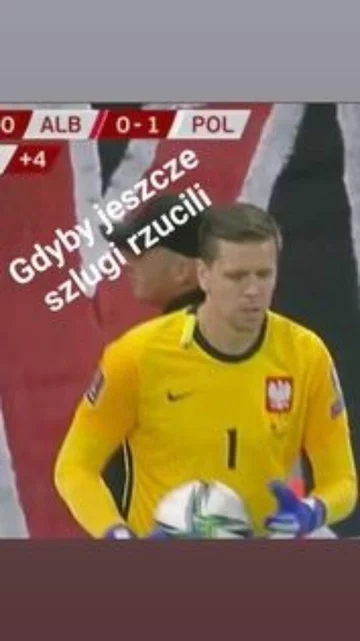 Mem po meczu Albania - Polska 