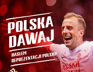 Miniatura: „Polska dawaj!” kontrowersyjnym hasłem na...