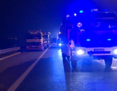 Miniatura: Ciężarówka zablokowała obwodnicę Wrocławia
