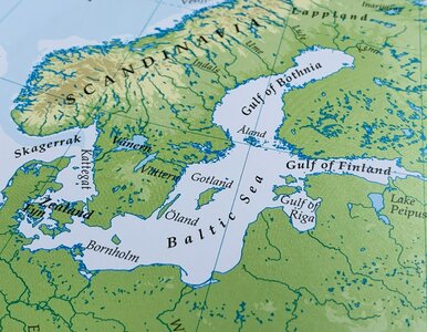 Miniatura: QUIZ o Bałtyku. Czy znasz zwierzęta z...
