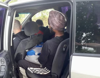 Miniatura: Straż Graniczna zatrzymuje migrantów...