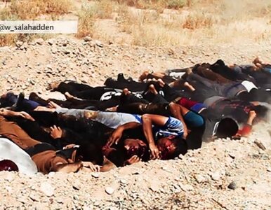 Miniatura: Dżihadyści z ISIL opublikowali drastyczne...