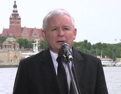 Miniatura: Kaczyński: Wcześniejsze wybory powinien...