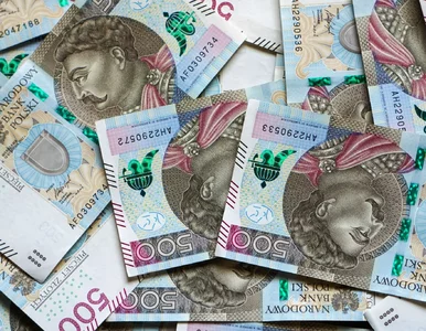 Miniatura: 24 mln zł dla polskiej uczelni na badania...