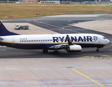 Miniatura: Ryanair przywraca trzy trasy na lotnisko...