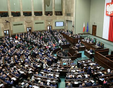Kancelaria Sejmu zamówiła 23 tony mięsa. Posłowie dostaną najlepsze gatunki