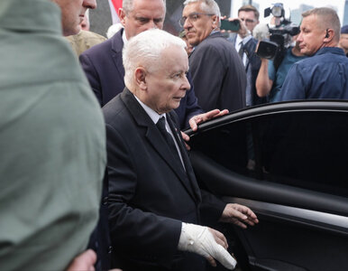 Miniatura: Kaczyński doznał kontuzji. Tak radzi sobie...