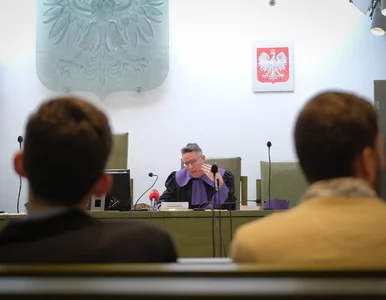 Miniatura: Matka zabiła cztery noworodki. Sąd wydał...