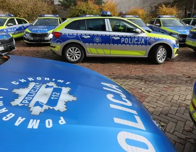 Miniatura: Strzały na Podkarpaciu. Obława policji za...