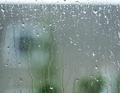 Miniatura: Prognoza pogody: Polska w deszczu