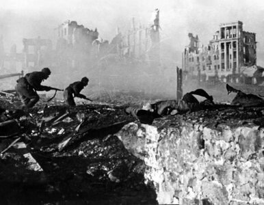 80 lat od bitwy pod Stalingradem. Ani kroku w tył w czasie wojny szczurów