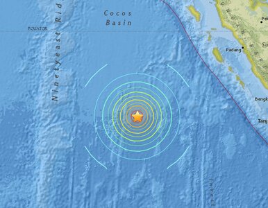 Miniatura: Potężne trzęsienie ziemi nawiedziło Indonezję